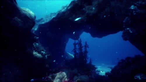 Deep Sea Underwater Cave Exploration with Coral Reef