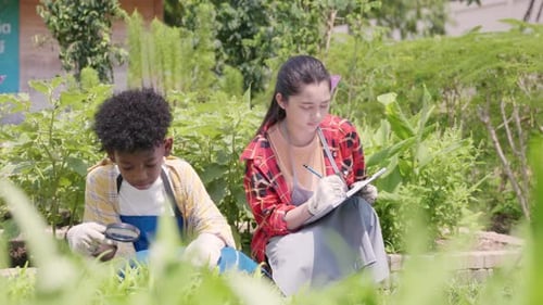 Happy children farmer hands holding magnifying glass and looking at vegetables in hydroponics farm