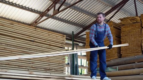 Young Male Worker in Timber Warehouse