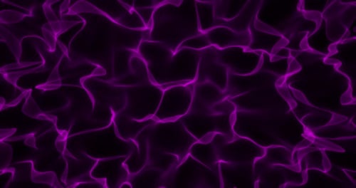 Purple Fractal Field