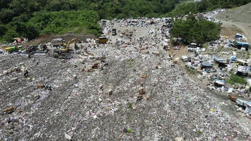 Aerial view of a city dump center full of trash. Herd of cows eating garbage in a landfill. Ecology