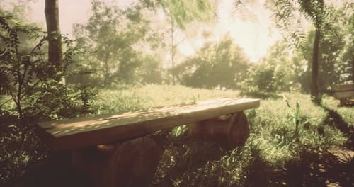 Tranquil Wooden Bench Surrounded By Greenery in a Sunlit Forest Clearing