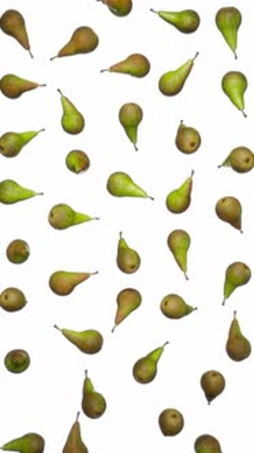 Vertical Falling Green Pears on White