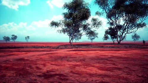 Vibrant Red Earth of the African Savanna with Scattered Trees Under Blue Skies