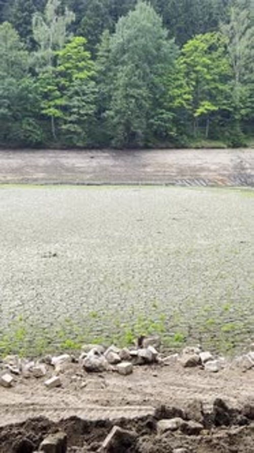 Une rivière asséchée avec une texture naturelle d'argile craquelée : un désastre environnemental dans la nature (vidéo verticale)