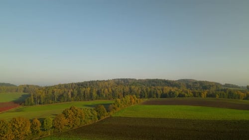 Scenic aerial drone view of tree lined road and forest with farmland fields under blue sky