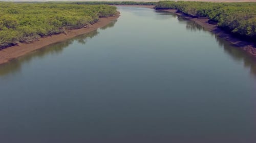 Close up Aerial flight over shrub and tree along shores, rivers