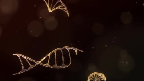 Floating Golden DNA Helix Strands Animation