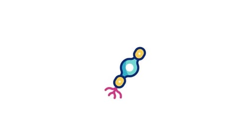 Animiertes Bipolarneuron-Symbol