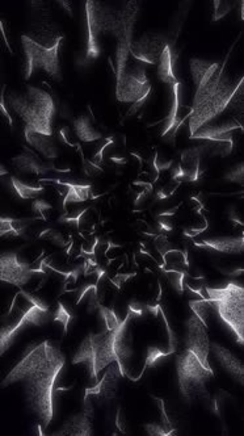Fractal monochrome energy loop with swirling light threads and soft flowing motion