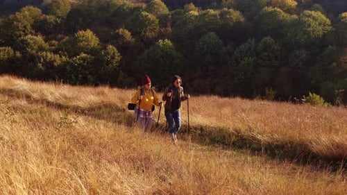 Two smiling woman hiking at top of the hill at meadow.