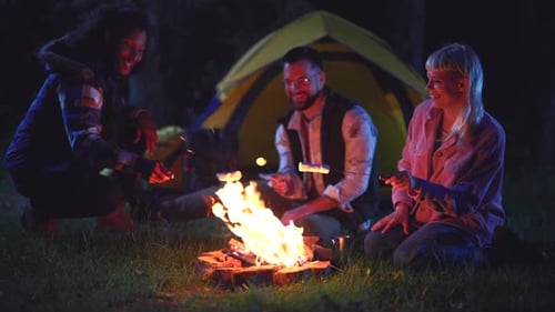 Friends Around Campfire at Night Roasting Marshmallows