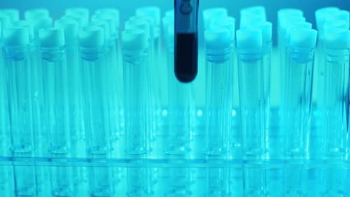 COVID-19 Sample Placed in Rack of Test Tubes