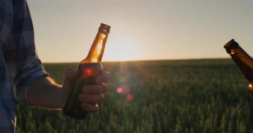 Les mains de deux hommes avec des bouteilles de bière cliquettent sur fond de champ de blé où
