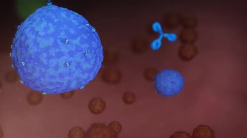 Antibodies Attacking Cancer Cells 3D Animation