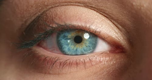 Blink, vision and blue eye of woman for sight, health or optometry in macro or closeup