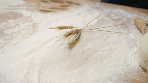 Ears Wheat Flour