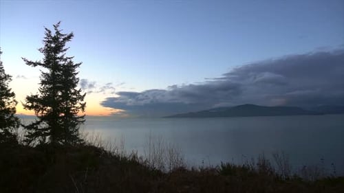 TIMELAPSE: Cloudy sunset over ocean with trees in foreground 4K