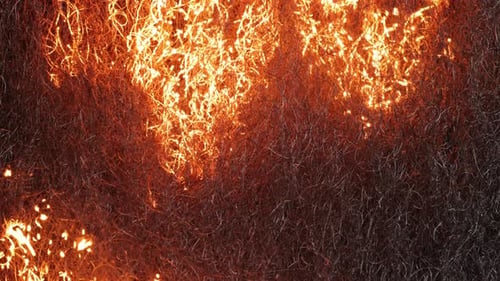 Macro Steel Wool Burning