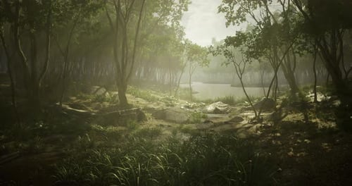 Misty Afternoon in a Serene Forest with Tranquil Lake and Lush Greenery