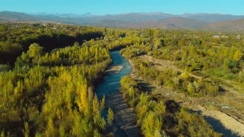 Bird's eye view of colorful forest, blue river and rocks. Drone Shot.
