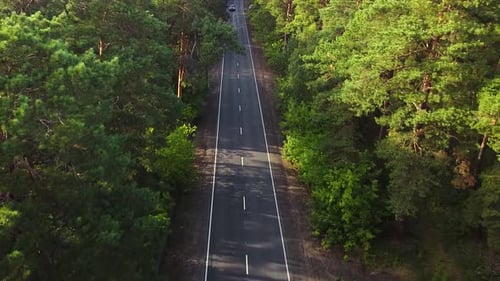Luftbild eines Autos, das auf einer Landstraße durch den grünen Pinienwald und den Berg fährt