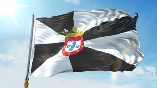 Realistic Waving Flag Animation with Geometric Black and White Design