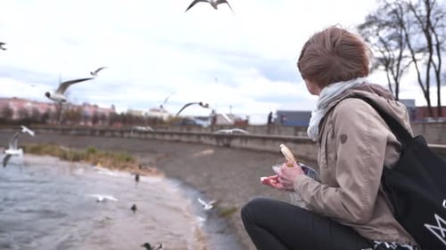 A Girl Feeds Seagulls on the Shore of the Lake