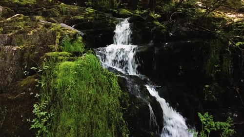 Water running through peaceful forest in Wales. Drone moves up river running through green forest.