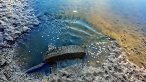Water flows into a sewer system on a muddy riverbank with traces of pollution and debris
