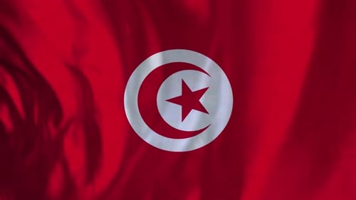 Tunisian Flag Waving Loop Background