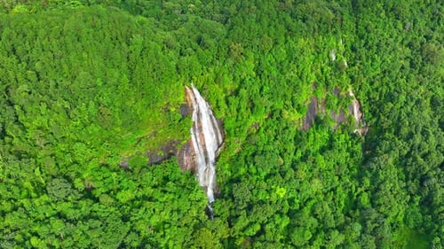 The beauty of the waterfall in the heart of the tropical forest.