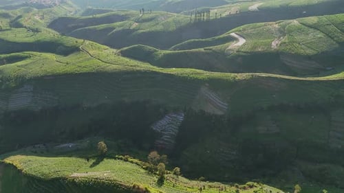 Scenic aerial panorama of green terraced fields on mountain slopes.