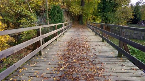 A view of a wooden bridge with falling leaves