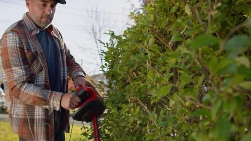 Hedge Trimming With Electric Cutter In Green Garden By Young Man Outdoors
