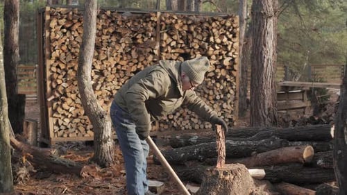 Chopping Wood in a Forest During Winter While Surrounded By Stacked Firewood