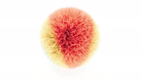 Hair Fur Ball Sphere on White Bg Able to Loop Endless
