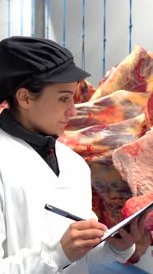 Femme écrivant sur un bloc-notes vérifiant les marchandises dans une usine de viande