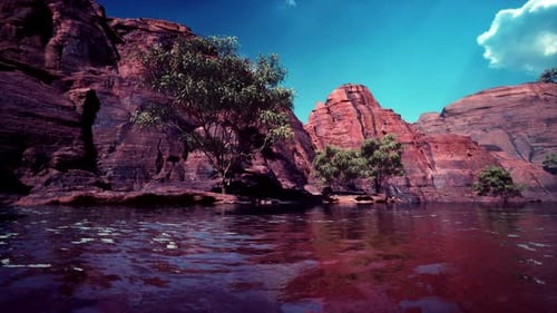 Colorado River with Gorgeous Sandstone Walls and Canyons