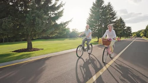 Senior Couple Enjoying Bicycle Ride in Park