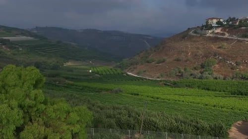 Landscape of agricultural fields and green vineyards in Galilee on background, Israel