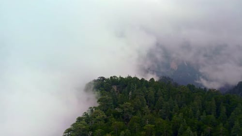 Mountain Forest View Through Clouds