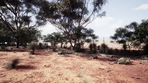A Serene Landscape with Trees in a Rustic Field