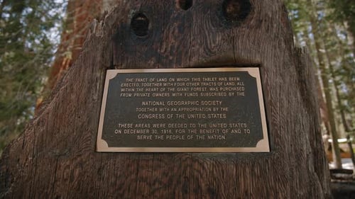 Plaque historique de la National Geographic Society sur le parc Tree Stump Sequoia