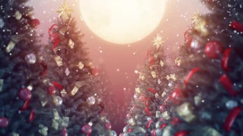 Loop mit Weihnachtsbaum und Mondlicht