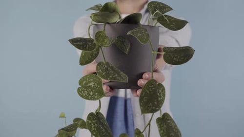 Man Holding Houseplant in His Hands Close to the Camera