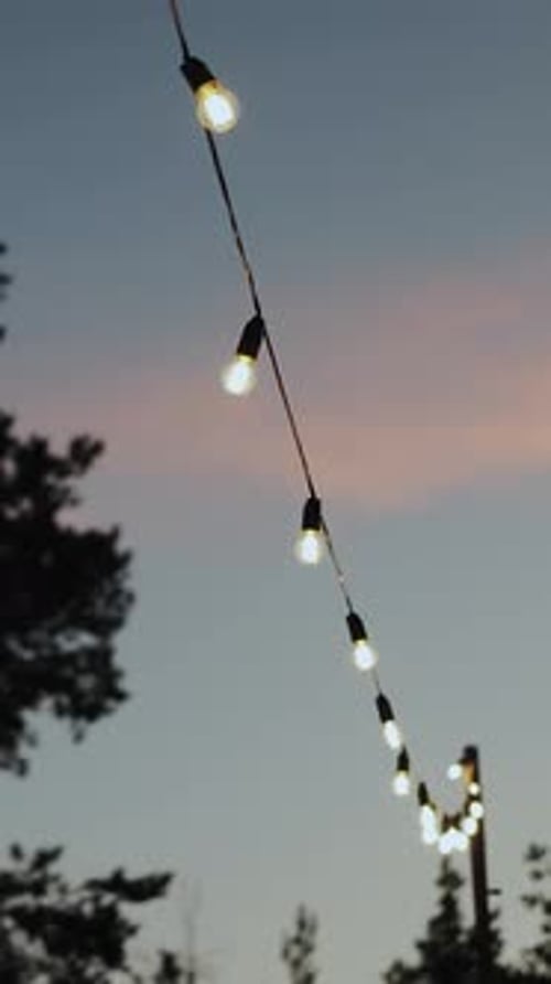 A String of Lights Hangs From a Wire Between Two Trees in the Sky Romantic Atmosphere in the Wedding
