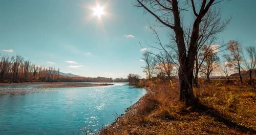 Mountain River Timelapse at the Summer or Autumn Day Time Wild Nature Clear Blue Water and Dry Trees