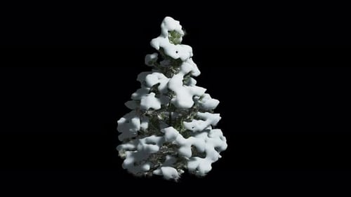 Realistic Pine Tree Covered in Snow with Falling Snow Animation