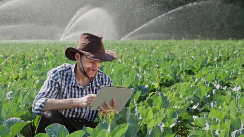 Farmer Using Digital Tablet During Monitoring His Plantation